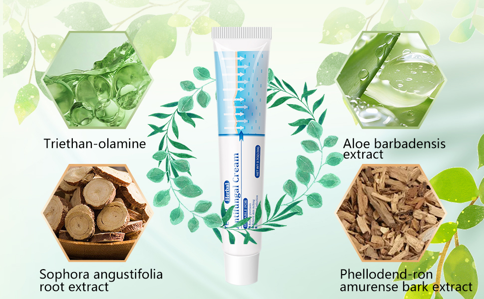Why do fungal skin infections often flare up during the hot summer months?